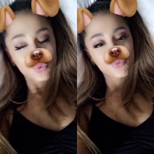 snapfiltre